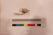 Stucco Fragment, Stucco; carved