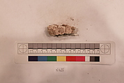 Stucco Fragment, Stucco; carved, painted