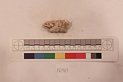 Stucco Fragment, Stucco; carved, painted