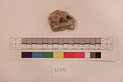 Stucco Fragment, Stucco; carved, painted