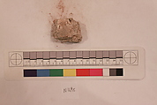 Stucco Fragment, Stucco; carved, painted