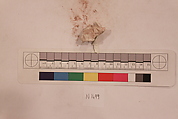 Stucco Fragment, Stucco; carved, painted