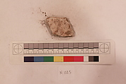 Stucco Fragment, Stucco; carved, painted