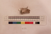 Stucco Fragment, Stucco; carved, painted