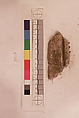 Stucco Fragment, Stucco; carved, painted