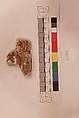 Stucco Fragment, Stucco (mortar); carved, painted
