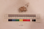 Stucco Fragment, Stucco; carved, painted