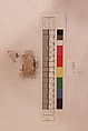 Stucco Fragment, Stucco; carved, painted