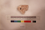 Stucco Fragment, Stucco (mortar); carved, painted