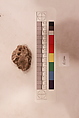Stucco Fragment, Stucco; carved, painted