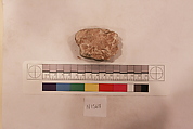 Stucco Fragment, Stucco; carved, painted