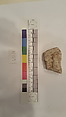 Stucco Fragment, Stucco; carved, painted