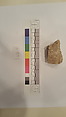 Stucco Fragment, Stucco; carved, painted