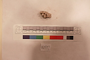 Stucco Fragment, Stucco (mortar); carved, painted