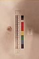 Stucco Fragment, Stucco (mortar); carved