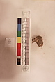 Stucco Fragment, Stucco; carved, painted