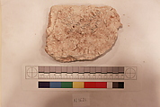 Stucco Fragment, Stucco; carved, painted