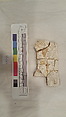 Stucco Fragment, Stucco; carved, painted