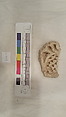 Stucco Fragment, Stucco; carved, painted