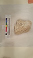 Stucco Fragment, Stucco; carved, painted