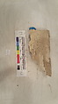Stucco Fragment, Stucco; carved, painted