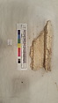 Stucco Fragment, Stucco; carved, painted