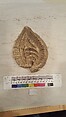 Stucco Fragment, Stucco (mortar?); carved, painted