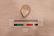 Stucco Fragment, Stucco(mortar?); carved, painted