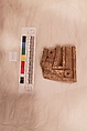 Stucco Fragment, Stucco; carved, painted