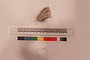 Stucco Fragment, Stucco; carved