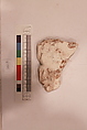 Stucco Fragment, Stucco; carved, painted