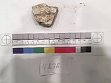 Stucco Fragment, Stucco; carved, painted (?)