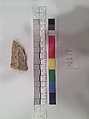 Stucco Fragment, Stucco; carved
