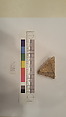 Stucco Fragment, Stucco; carved, painted