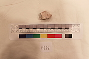 Stucco Fragment, Stucco; carved
