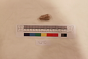 Stucco Fragment, Stucco; carved