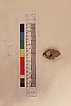 Stucco Fragment, Stucco; carved, painted (?)