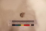 Stucco Fragment, Stucco; carved