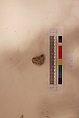Stucco Fragment, Stucco; carved, painted