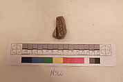 Stucco Fragment, Stucco; carved
