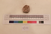 Stucco Fragment, Stucco; carved