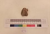 Stucco Fragment, Stucco; carved