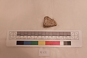 Stucco Fragment, Stucco; carved; painted