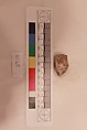 Stucco Fragment, Stucco; carved