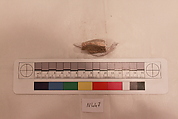 Stucco Fragment, Stucco; carved