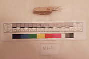Stucco Fragment, Stucco; carved