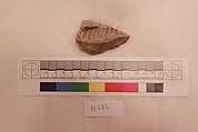 Stucco Fragment, Stucco; carved