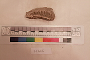 Stucco Fragment, Stucco; carved