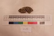 Stucco Fragment, Stucco; carved, painted