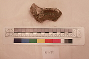 Stucco Fragment, Stucco; carved, painted
